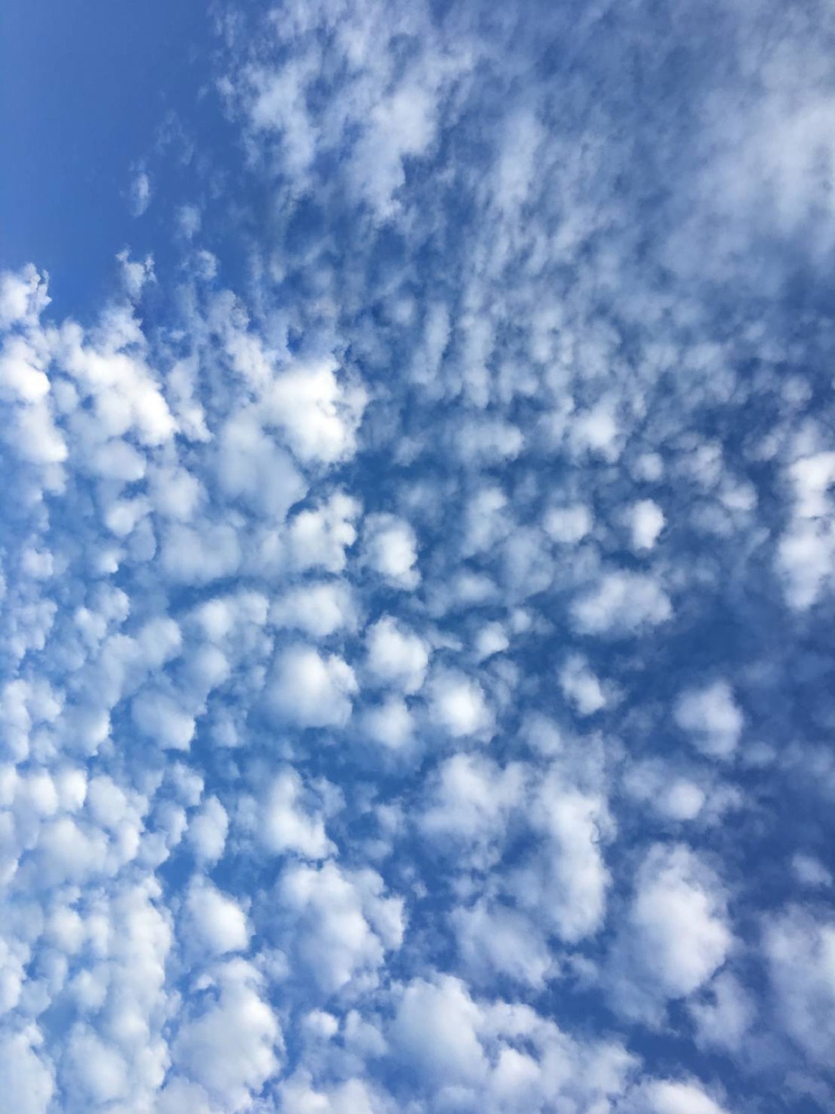 八ヶ岳を望む空